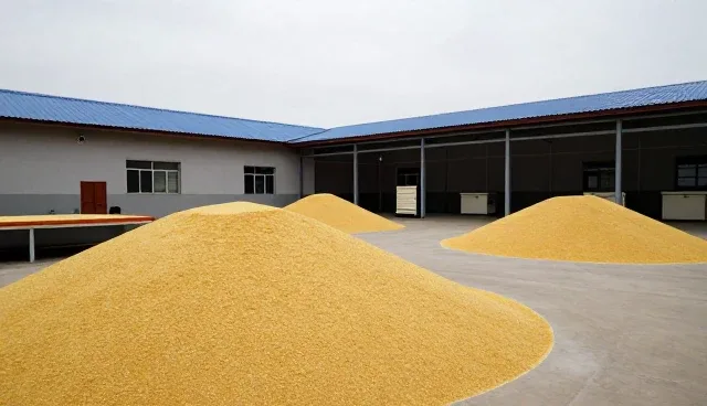 种植技术咨询在食品安全保障中的应用与发展趋势